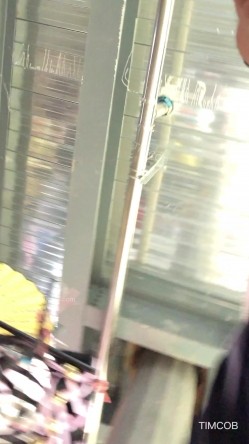 极限CD大师商场步行街4K裙内拍多位气质漂亮小姐姐T裤丝袜无内亮点多美女情趣内裤直接上街拍摄中都硬了 截图14