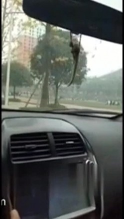 逼毛浓密性感的白领小姐姐搭顺风车聊得投机就和司机小哥在路边车震 截图3
