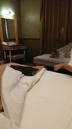 百货商城卖衣服的小姐姐 因为缺钱刚出来兼职一直喊受不了快一点 截图1