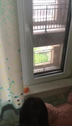 大神的绿奴母狗们，车震户外露出，滴蜡后入打开门看着邻居走廊大战，楼道做爱，威武刺激哦 22V流出！ 截图2
