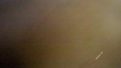 【性爱淫妻 ️重磅推荐】最新精品良家淫妻性爱泄密甄选 美穴豪乳只为你独宠 疯狂女神 完美露脸 高清1080P原版 截图4