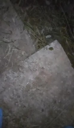 样子纯情的女主播穿着水手制服勾搭小车司机路边车震美女主播下面毛真多 截图15
