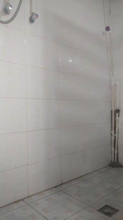 大三表妹手机里发现的秘密 洗澡的时候竟然自慰还学母狗尿尿 截图3