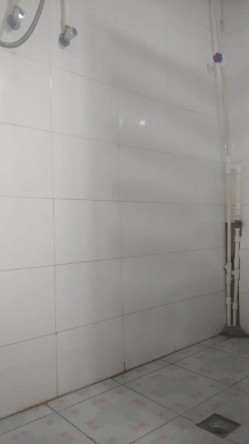 大三表妹手机里发现的秘密 洗澡的时候竟然自慰还学母狗尿尿 截图4