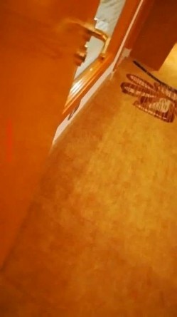 东北口音对白空虚富姐酒店开房洗澡勾引来送酒的服务生飘窗前看着夜景激情啪啪 截图1