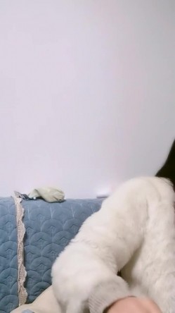 极品颜值骚妇，【小水泡萝卜】跳蛋S逼，粉丝互动，淫声都能听射，窃窃私语，勾魂摄魄娇喘 截图8