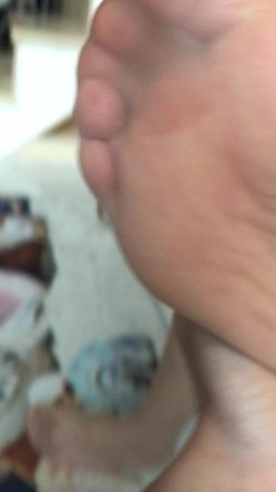 江大校花极品系列自拍视频图包完整版 淫荡校花试衣间为小鲜肉足交口活酒店调教 截图4