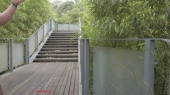 顶级反差露脸御姐，露出鼻祖，网红【火儿姐】景区裸行高清原版视图，大奶美腿女人味十足 截图4