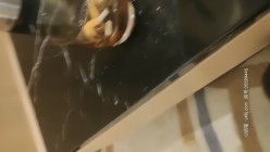 探花朗李寻欢_啪啪极品马尾辫外围妹，超近距离特写口交，拿着手机直接拍特写干B3 截图1