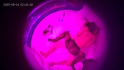 酒店摄像头偷拍 碎花裙端庄乖乖女解除封印后变身小野马疯狂榨取 截图16