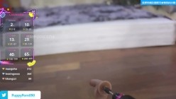 ️大奶子校花！超骚【PuppyPorn090】付费门票房 尝试原相机插入高潮喷水 截图8