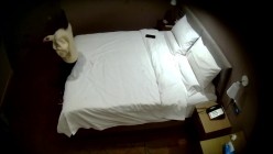 天眼酒店高清偷拍连续几天入住的奇葩小情侣整天裸睡不啪啪只会对着平板跳操 截图14