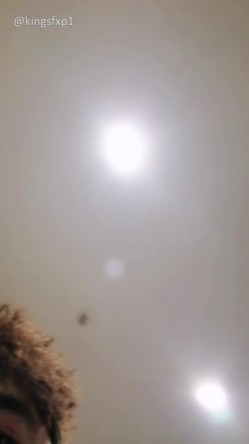 新人18岁小粉【鸭鸭是个m】顶级校花 好骚sm捆绑自慰 被男友道具狂玩屄 调教口爆吞精太糟蹋 截图5