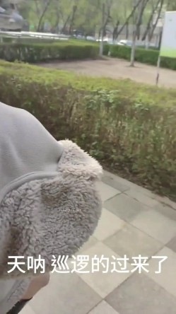 露出界天花板满级狂人！身材苗条性感网红【兔兔】私拍，学校公园商场各种场所人前露出翻屁眼露逼紫薇喷水 截图12