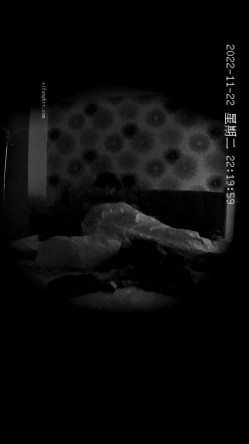 安防酒店偷拍 ️黑丝气质少妇和帅哥偷情 大叔约炮少妇 截图10