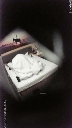 【360摄像头】翻滚吧!最能做爱的中年大叔多姿式猛操，偷拍佳作，好几对良家情侣来，玩得花样不少真刺激 截图10