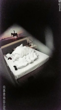 【360摄像头】翻滚吧!最能做爱的中年大叔多姿式猛操，偷拍佳作，好几对良家情侣来，玩得花样不少真刺激 截图11