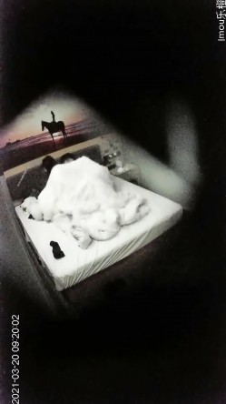 【360摄像头】翻滚吧!最能做爱的中年大叔多姿式猛操，偷拍佳作，好几对良家情侣来，玩得花样不少真刺激 截图15