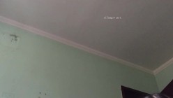 云盘高质露脸泄密！东北极品母狗【王露】性爱真实自拍，口活秒杀会所头牌，女上位全速扭动，太骚了 截图2