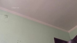 云盘高质露脸泄密！东北极品母狗【王露】性爱真实自拍，口活秒杀会所头牌，女上位全速扭动，太骚了 截图3