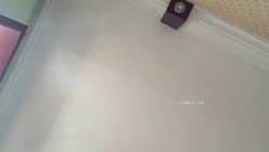 云盘高质露脸泄密！东北极品母狗【王露】性爱真实自拍，口活秒杀会所头牌，女上位全速扭动，太骚了 截图13
