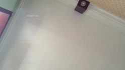 云盘高质露脸泄密！东北极品母狗【王露】性爱真实自拍，口活秒杀会所头牌，女上位全速扭动，太骚了 截图14
