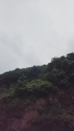 颜值不错少妇户外车震双人啪啪 口交后座骑乘抽插自摸逼逼 截图9