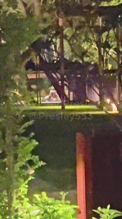 推特健身肌肉大神，【presley553】，上海五星级酒店窗前，爆操美女，遥望东方明珠 截图1