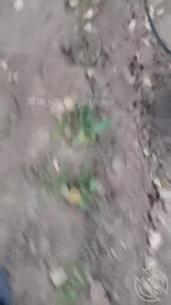 乱伦大神【梦想是母姨双飞】付费钻石贴，和两个骚货在帐篷里欢爱 截图1