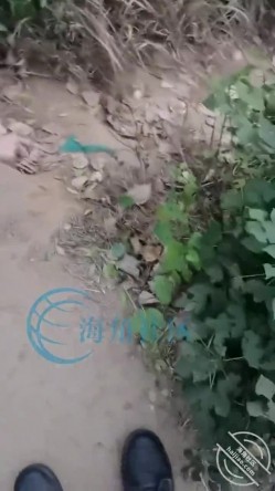乱伦大神【梦想是母姨双飞】付费钻石贴，和两个骚货在帐篷里欢爱 截图2