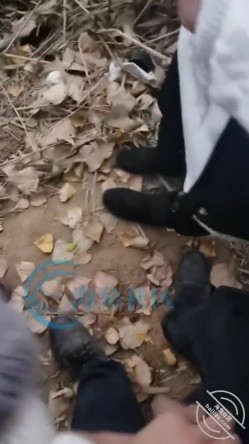 乱伦大神【梦想是母姨双飞】付费钻石贴，和两个骚货在帐篷里欢爱 截图8
