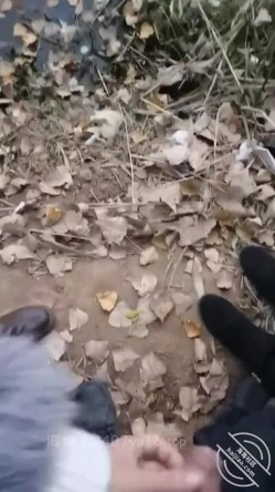 乱伦大神【梦想是母姨双飞】付费钻石贴，和两个骚货在帐篷里欢爱 截图9