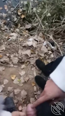 乱伦大神【梦想是母姨双飞】付费钻石贴，和两个骚货在帐篷里欢爱 截图10