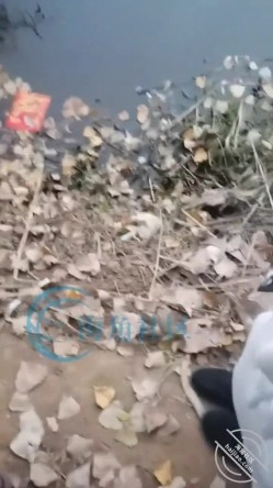 乱伦大神【梦想是母姨双飞】付费钻石贴，和两个骚货在帐篷里欢爱 截图14