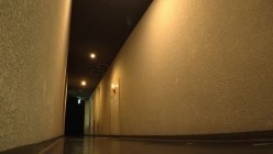 DNJR-162 截图5