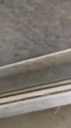 偷窥露营夫妻在车里啪啪 被大姐发现了 看表情貌似偷情 那怎么着也得加入啊 截图6