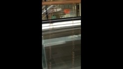 白皙修长美腿淡黄色内内清纯美女真是惹人怜爱 截图1