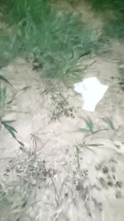 户外刺激，人气女神再出山，【香菜一奈】，野外山顶~勾搭口交~，路边尿尿，车震，浪叫声响彻旷野 截图5