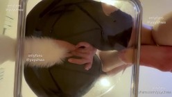 【Yuyuhwa】肥臀巨乳 一年内所有VIP付费合集 截图15