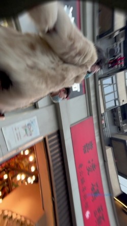 【精品CD】某房66RMB作品 极品无内学生妹！捂着裙子遮不住B外露 截图9