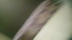 歌厅探花陈先生_约两性感公主妹，换上黑丝包房啪啪 截图13