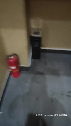 东北小老弟探妓窝 横扫两大鸡窝连续肏了4炮无套内射3位成熟姐姐玩的是真败火啊一个比一个骚活儿好对白淫荡 截图1