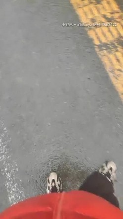 东北小老弟探妓窝 横扫两大鸡窝连续肏了4炮无套内射3位成熟姐姐玩的是真败火啊一个比一个骚活儿好对白淫荡 截图8