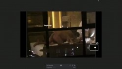 【五星级酒店窗外偷拍】，情人之间的约会，长腿女神被按在凳子上操，入住的都是高质量男女 截图1