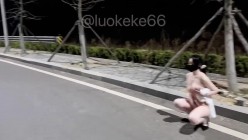 SM露出爱好者『洛可可』路边放荡性母狗爬行，对车辆露出屁股和肛塞尾巴，请过往车辆照亮雪白的屁股和小菊花夹着的尾巴 截图8