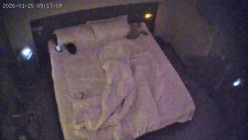 酒店偷拍反差婊眼镜妹子换上黑丝情趣睡衣配合男友69互舔口爆后入 截图3