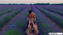 Vixen.19.10.31.Mia.Melano.And.Stacy.Cruz.Something.To.Look.Forward.To.1080p.HEVC.HQ 截图15