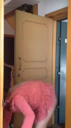 良家少妇和老外订外卖，少妇SM 不穿内裤敞开门拿完外卖，撅起屁股向着门外检查外物，怕看不见又特意撅地高高的！ 截图16