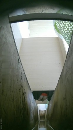 食品厂女厕偷拍 ️7绝顶视角 多逼同框临场感是十足牛仔裤妹子大骚逼侧对镜头 截图5