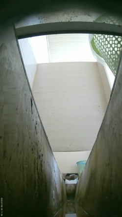 食品厂女厕偷拍 ️7绝顶视角 多逼同框临场感是十足牛仔裤妹子大骚逼侧对镜头 截图6